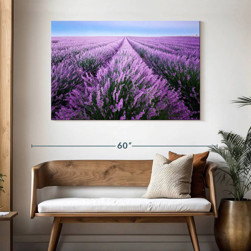 Champ de lavande d'Alvord en Provence, H 32 po x l 48 po