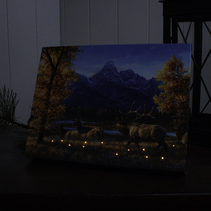 Toile de table éclairée 8 x 6 Teton Range