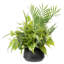 Artificial Plant
