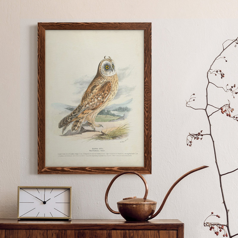 Toile encadrée de qualité supérieure Hawk Owl - prête à être accrochée, Érable, H 38 po x l 28 po x P 1 po