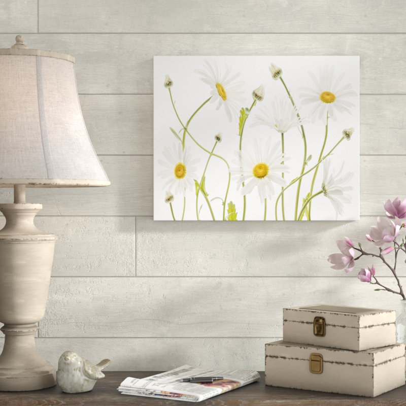 Ox Eye Daisies - Reproduction de photo sur toile tendue, H 12 po x l 16 po x P 1,5 po