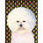 Bichon frisé 1