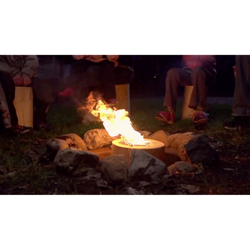 Timbertote 2.59 Lb. Wood Logs