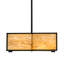 4 - Light Pendant
