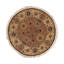 Wool Oriental Area Rug