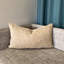 Joelle Lumbar Pillow Cover & Insert-1987290750