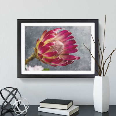 Pink Protea Flower - Framed Print