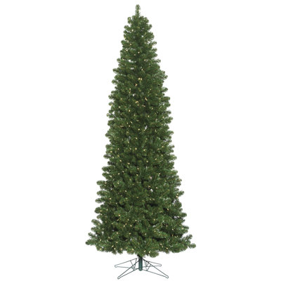 Oregon Fir 12' Lighted Fir Christmas Tree
