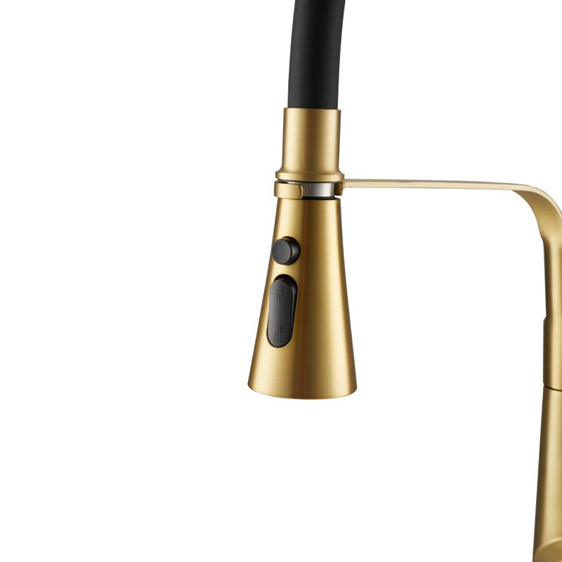Happy Larry Ashburton Pull Down Kitchen Faucet, Matte Black/Gold