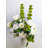 White Rose and Hydrangea Silk Flower Arrangement