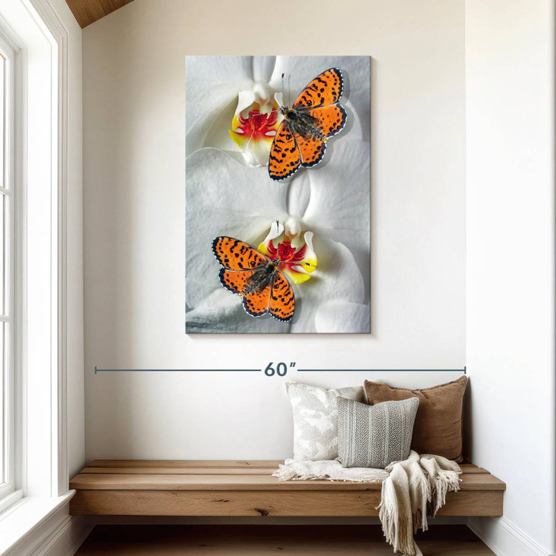 Brampt Orange Butterfly Duo, 45" H x 30" W