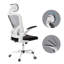 Ludovica 52 cm Wide High Back Mesh Ergonomic Office Chair With Adjustable Headrest, Armrest, Lumbar-383779404