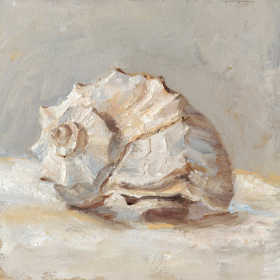 Impressionist Shell Study II