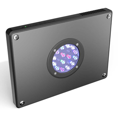 Lizeth Aquarium Accessory
