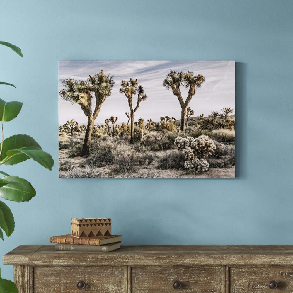 Leinwandbild Ansichten von Joshua Tree IX von Rachel Perry