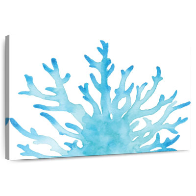Corail de mer Brampt