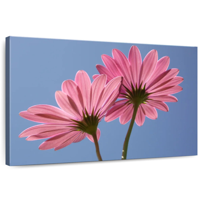 Harnek Blue Sky Flowers, 30" H x 45" W