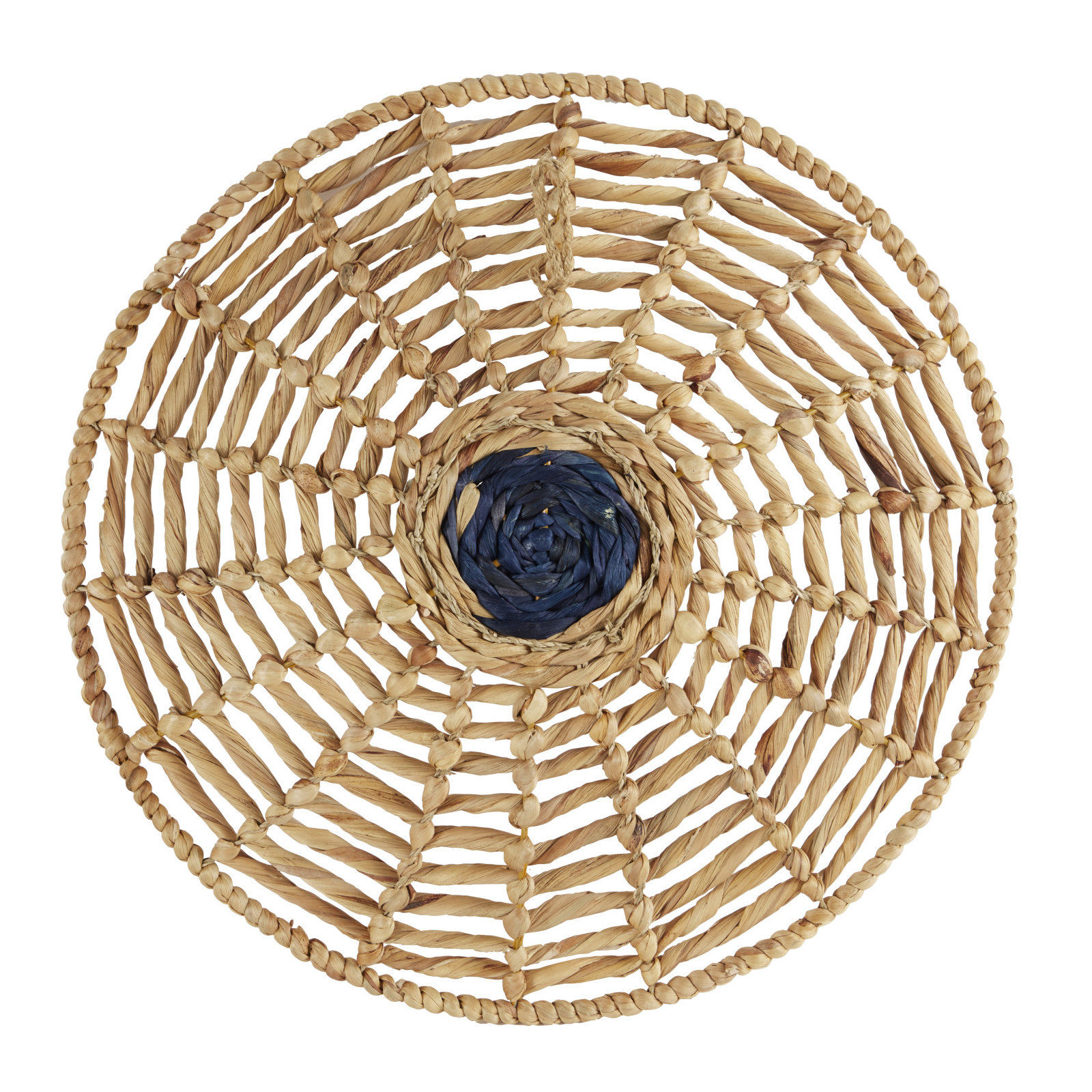 Dried Plant Wall Decor