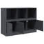 Analice Steel Accent Cabinet-192843024