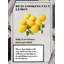 Ensemble de 8 citrons décoratifs à feuilles