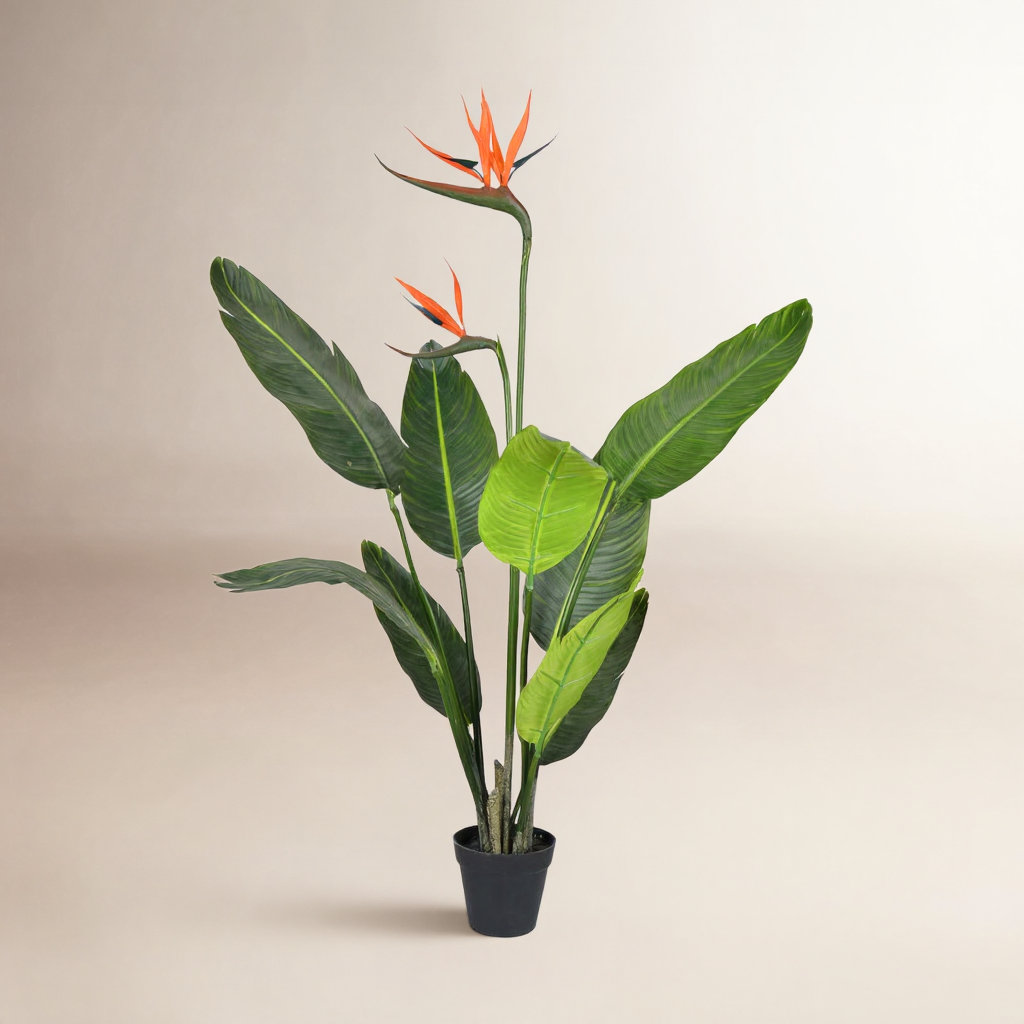 72" Bird of Paradise Tree in Pot, 36" H x 14" W x 14" D