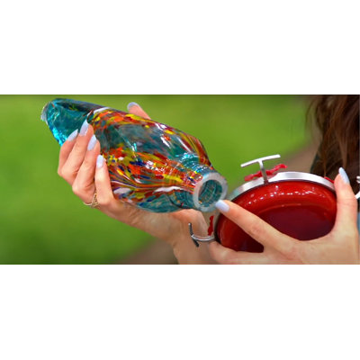 Teardrop Hummingbird Feeder with Ant Moat