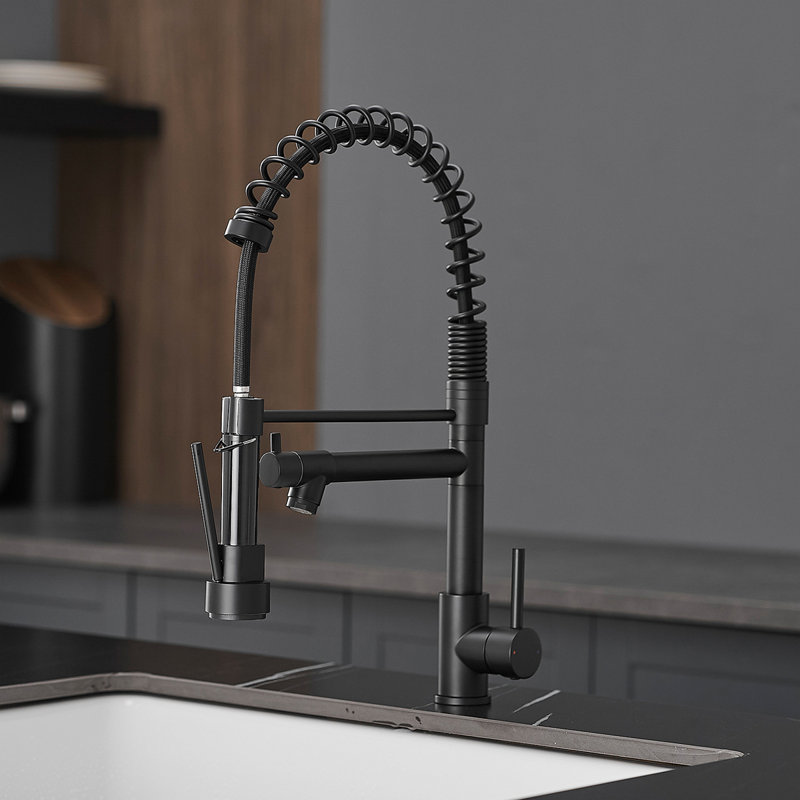 Robinet de cuisine commercial en acier inoxydable avec douchette rétractable, robinet d'évier de cuisine à poignée simple