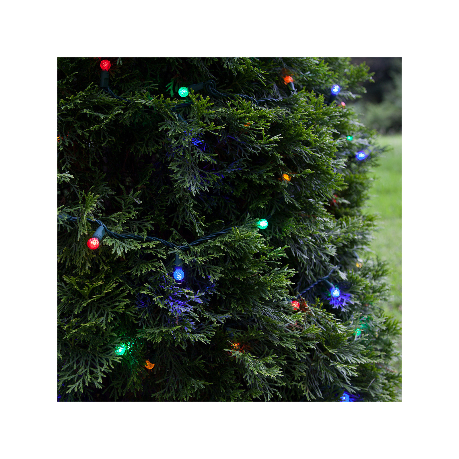 70 Light LED Mini Globe String Lights, Multicolor