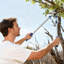 Professional Bypass Lopper for Tree Trimming – Heavy Duty Pruning Shears