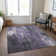 Machine Washable Indoor/Outdoor Cinead ACN1683 Purple Rug
