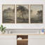 «Soft Morning Light Forest Stream Landscape with Trees», reproduction d'art sur toile encadrée-293889263-293889262-293889259