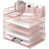 Rose est en rupture de stock