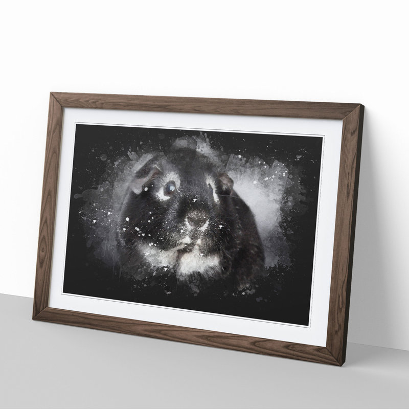 Guinea Pig - Picture Frame Graphic Art, 36cm H x 48cm W x 2cm D, Walnut Framed