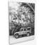 Tropical Sleigh Print by Kristen M. Brown-65769758-65769759