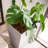 Modern Square Tapered Planter Patio Décor, Indoor & Outdoor-1541895121-1525863837