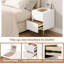 Ballone 2 Drawer Bedside Table-2069662051