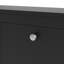 Cynsere 16 Pair Shoe Storage Cabinet-424493732