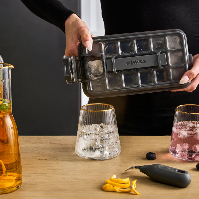 Zyliss Press & Pull 2 Piece Ice Cube Tray Set