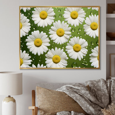 " Fields Of White Daisy Florescence Dreams I "