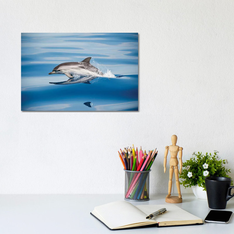 Striped Dolphin by Mirko Ugo - Print on Canvas, 20.32cm H x 30.48cm W x 1.91cm D, Wrapped Canvas