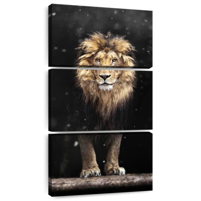 Lion sombre