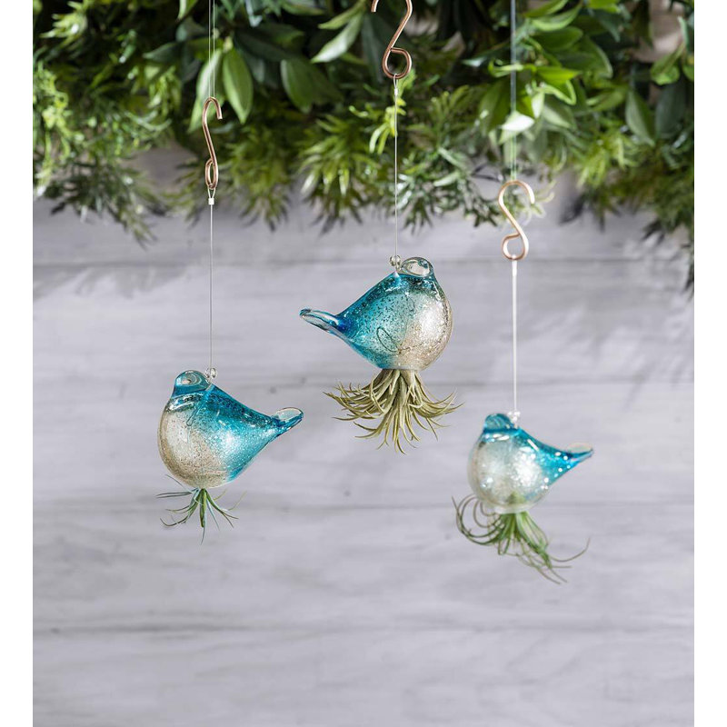 Ensemble de 3 pots à fleurs suspendus en verre
