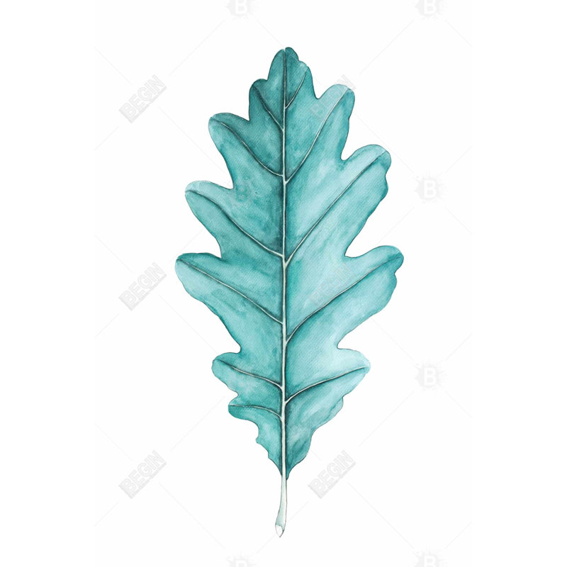 " Oak Leaf "