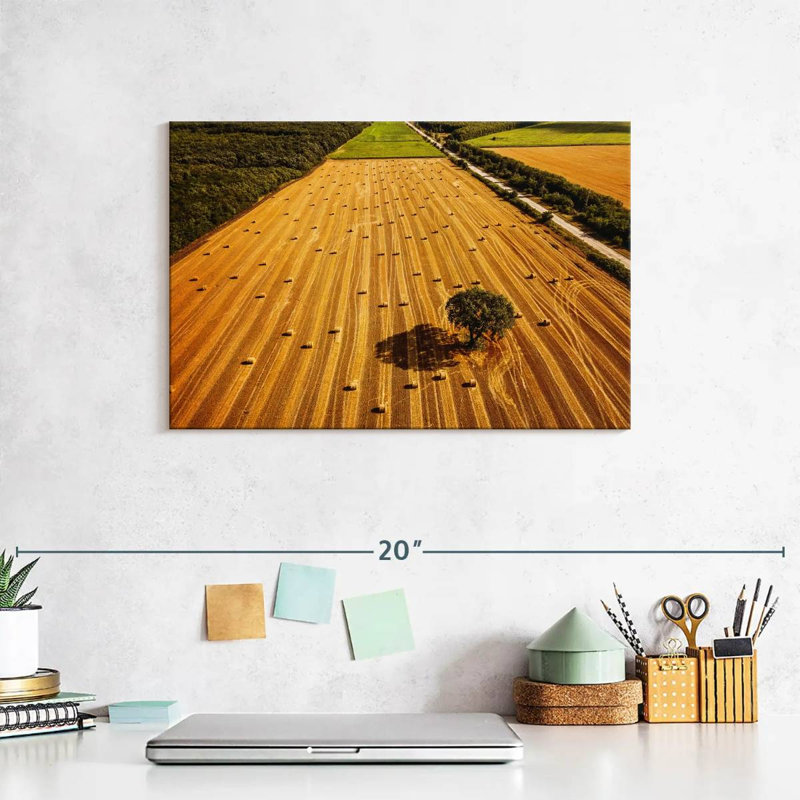 Alvord Hay Bales Fields, H 8 po x l 12 po