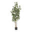 ARBRE DE LAURIER ARTIFIQUE 180CM 180CM
