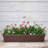 Nohely Planter Box
