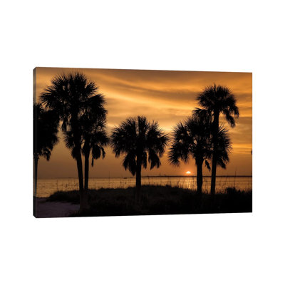 Tropical Park Sunset by Mike Jones - Wrapped Canvas Print
