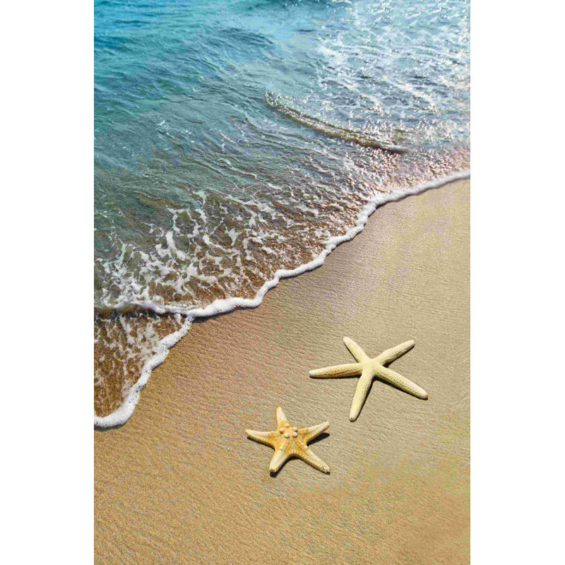 " Double Starfish ", 30" H x 20" W