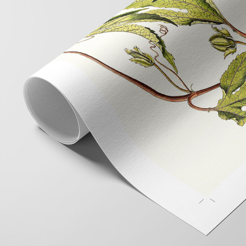 Passion Flower Trio III - Impression sur toile seulement - NON-CADRE