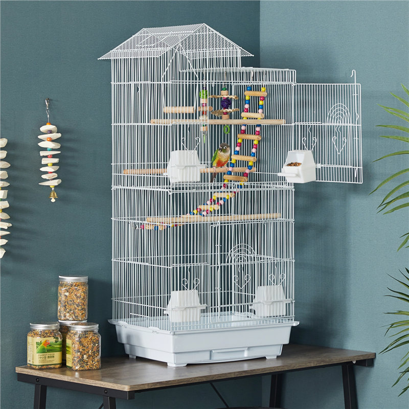 Iron Pointed Top Floor Bird Cage with Perch, White
